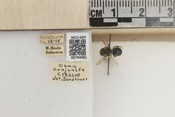 Media type: image;   Entomology 794981 Aspect: Labels